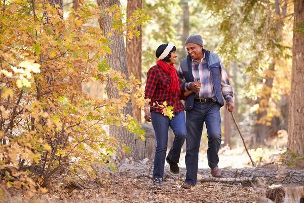 Üst düzey çift Woodland ile yürüyüş — Stok fotoğraf