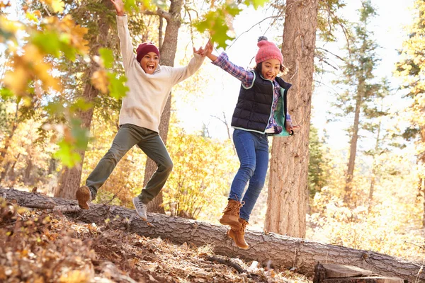 Kinder haben Spaß im Wald — Stockfoto