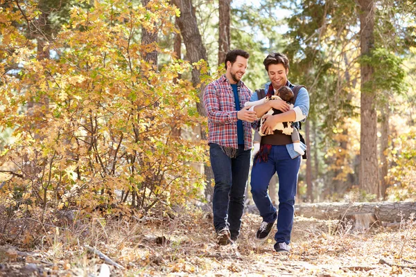 Чоловіча пара з дитиною ходьба в лісі — стокове фото
