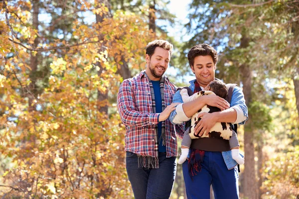 Male Couple With Baby Walking in Woodland — Stock Photo, Image