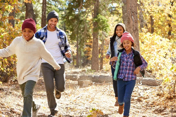 Familie spaziert durch Herbstwald — Stockfoto