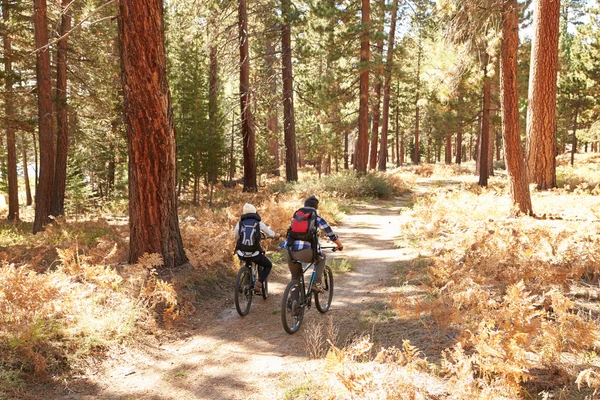 Coppia Escursioni in bicicletta attraverso Fall Woodland — Foto Stock