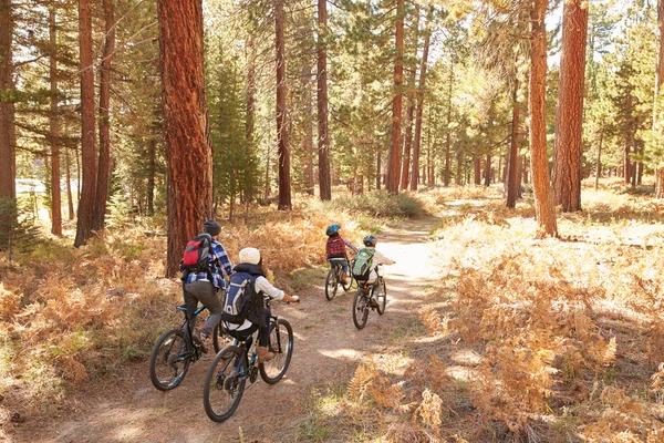 骑自行车穿过秋天林地的家庭 — 图库照片