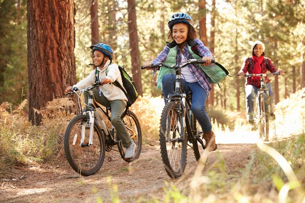 삼림지대를 자전거로 자전거를 타는 아이들 — 스톡 사진