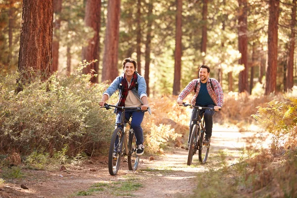 男夫妇骑自行车穿过林地 — 图库照片