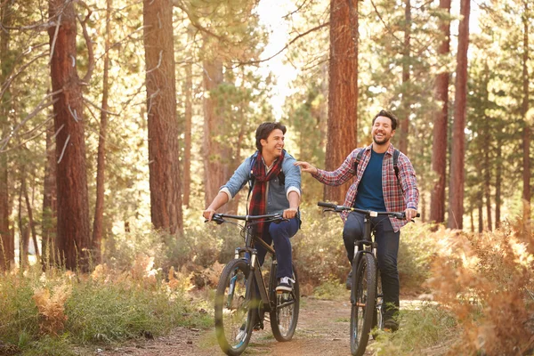 男夫妇骑自行车穿过林地 — 图库照片
