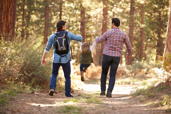 Mannelijke paar met dochter wandelen in het bos — Stockfoto