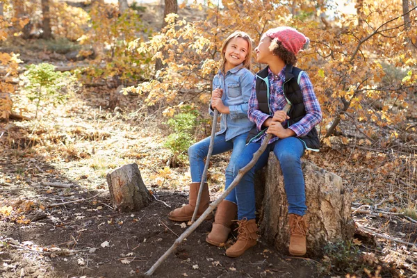 Dwie dziewczyny bawiące się razem w lesie — Zdjęcie stockowe