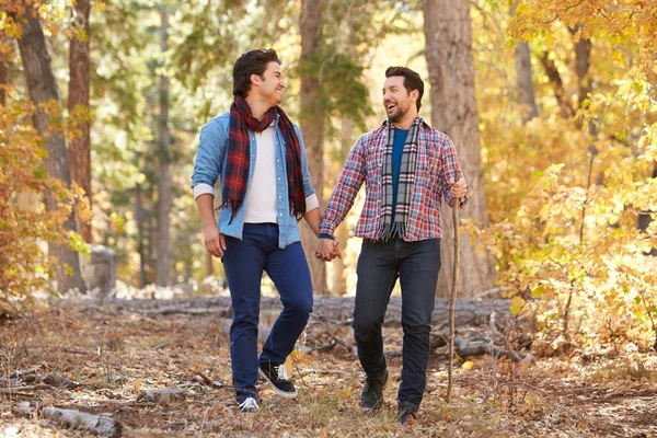 Male Couple Walking Through Woodland — Stock Photo, Image