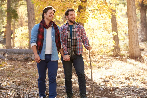 Pareja masculina caminando por el bosque —  Fotos de Stock