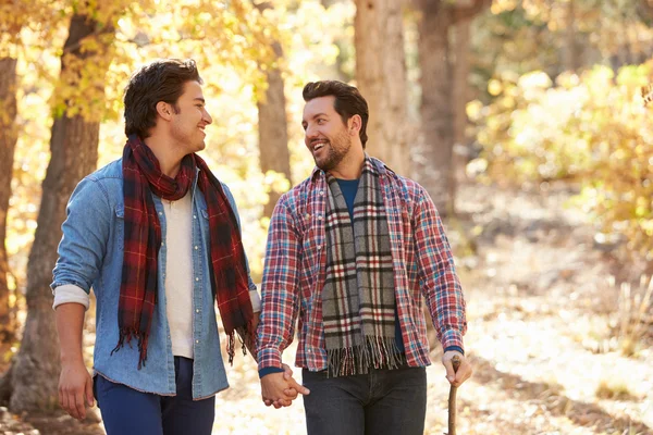 Couple d'hommes marchant à travers les bois — Photo