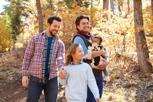 Чоловіча пара з дітьми ходять у лісі — стокове фото
