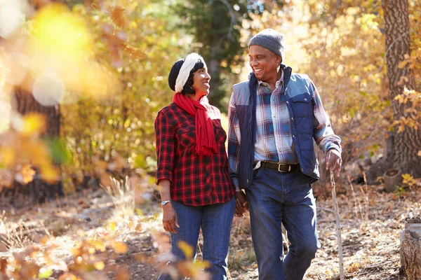 Casal Sênior Caminhando através da floresta — Fotografia de Stock