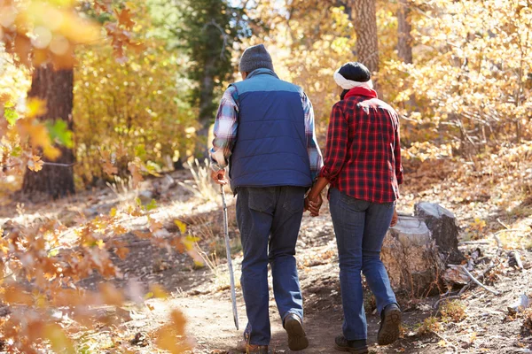 Couple sénior marchant à travers les bois — Photo