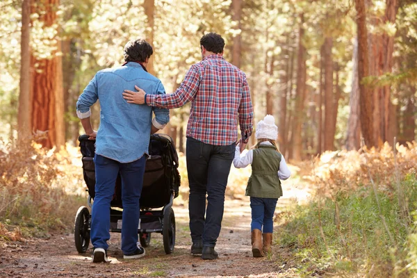 Male Couple Pushing Children In Buggy — Stock Photo, Image