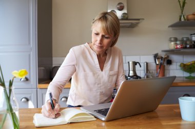 Woman Working From Home  clipart