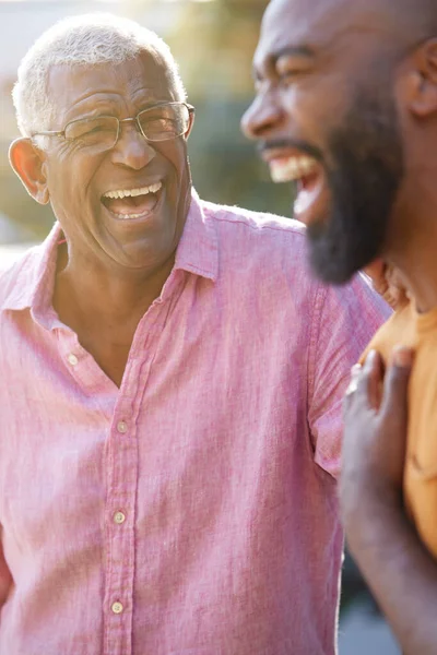 Senior Vater Talking Und Lachen Mit Erwachsenem Sohn Garten Bei — Stockfoto