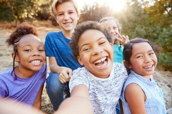 Pov Tiro Crianças Multiculturais Posando Para Selfie Com Amigos Campo — Fotografia de Stock