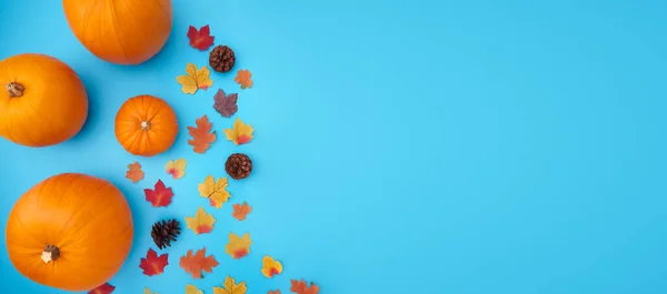 Bannière Plate Automne Composée Citrouilles Avec Des Feuilles Des Cônes — Photo