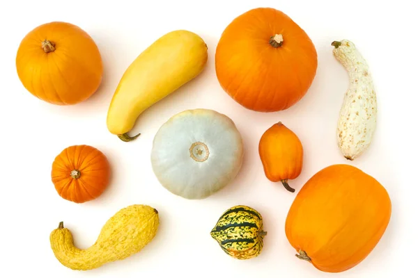 Overhead Autumn Still Life Composed Different Types Pumpkins White Background — Stock Photo, Image