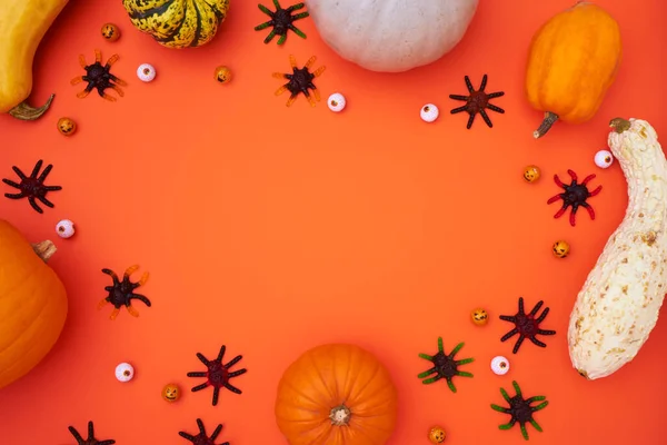 Bannière Halloween Aérienne Composée Citrouilles Avec Des Araignées Bonbons Des — Photo