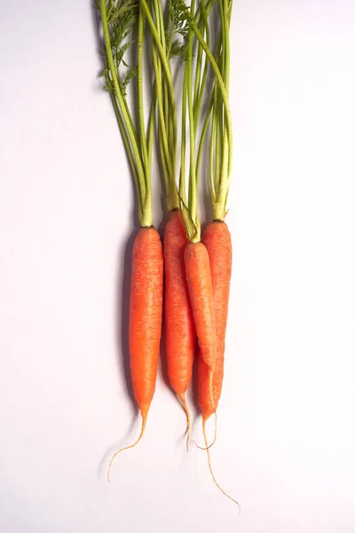 Overhead View Bunch Fresh Carrots Tops White Background — Stock Photo, Image