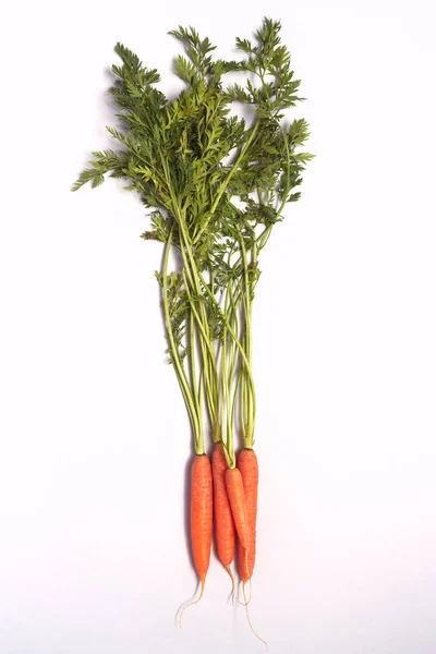 Overhead View Bunch Fresh Carrots Tops White Background — Stock Photo, Image