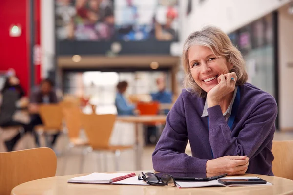 Porträtt Mogna Kvinnliga Lärare Eller Student Med Digital Surfplatta Arbetar — Stockfoto