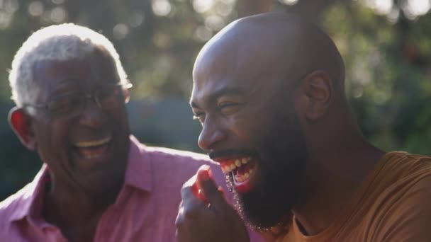 Starszy Afro Amerykański Ojciec Rozmawiający Śmiejący Się Dorosłym Synem Ogrodzie — Wideo stockowe