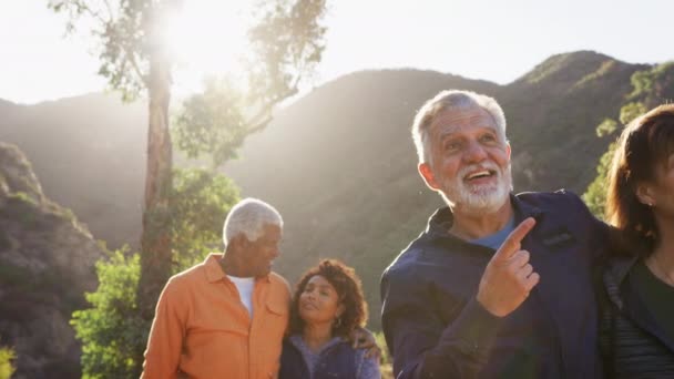 Gruppo Amici Anziani Sorridenti Che Camminano Campagna Insieme Contro Sole — Video Stock