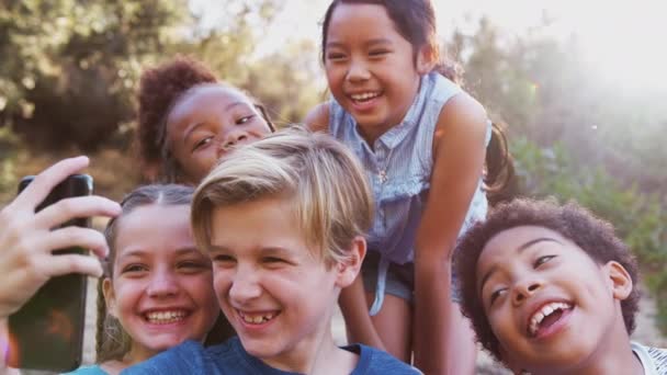 Gruppo Bambini Multiculturali Posa Selfie Con Gli Amici Campagna Insieme — Video Stock