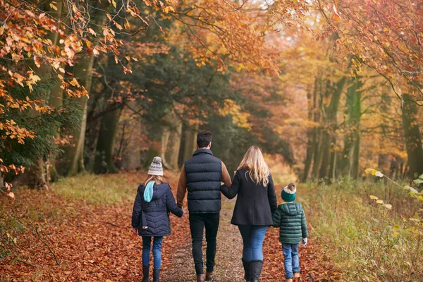 Bakre Över Familjen Walking Arm Arm Längs Höstens Skogsväg Tillsammans — Stockfoto