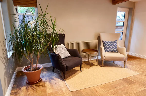 Intérieur Vue Beau Salon Avec Fauteuils Plante Pot Dans Maison — Photo