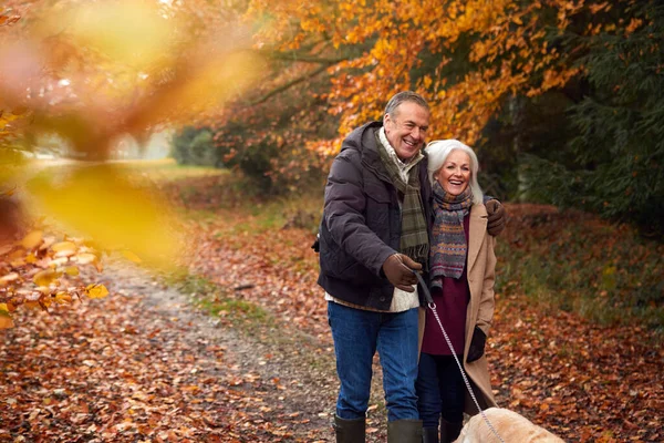 秋の森の道に沿ってペットゴールデンレトリバー犬と一緒に歩くシニアカップルを愛する木を通って — ストック写真