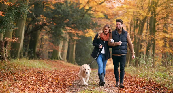 秋の森の道に沿ってペットゴールデンレトリバー犬と一緒に歩くカップルを愛する木 — ストック写真