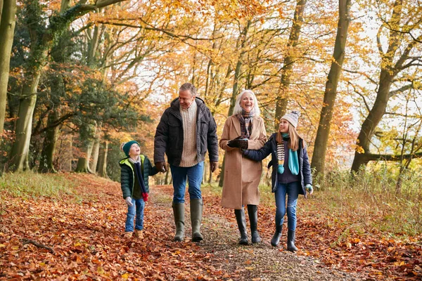 Großeltern Mit Enkelkindern Genießen Gemeinsamen Spaziergang Auf Herbstlichem Waldweg — Stockfoto