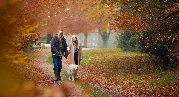 Loving Senior Couple Walking Pet Golden Retriever Dog Autumn Woodland — Stock Photo, Image