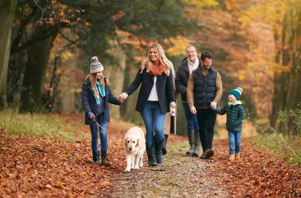 秋の森の道に沿ってペットゴールデンレトリバー犬と一緒に歩く世代の家族 — ストック写真