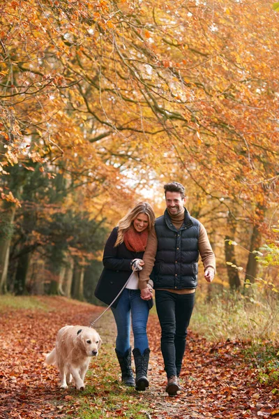 Liefdevol Koppel Wandelen Met Huisdier Golden Retriever Hond Langs Herfst — Stockfoto