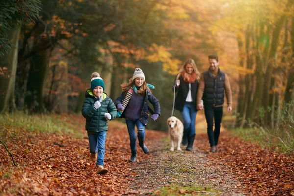 Family Walking Pet Golden Retriever Dog Autumn Woodland Path Together — Stock fotografie