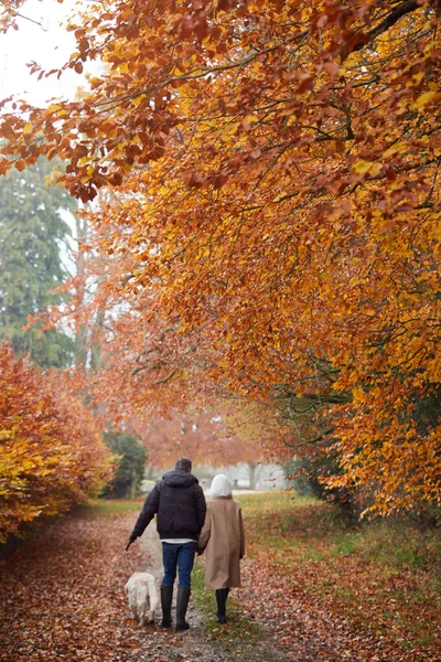 Vue Arrière Couple Personnes Âgées Marchant Avec Chien Golden Retriever — Photo