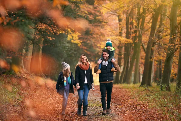 父と一緒に秋の森の道を歩く家族は肩に息子を運ぶ — ストック写真