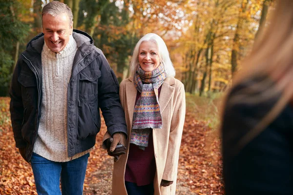 Milující Starší Pár Držící Ruce Když Kráčejí Podzimní Lesní Cestou — Stock fotografie