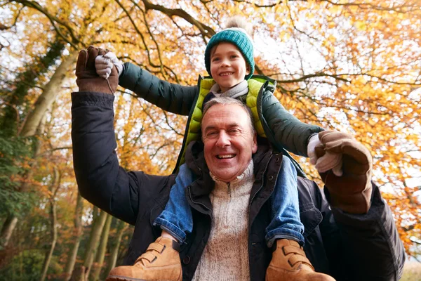 Portrait Grandfather Giving Grandson Ride Shoulders Walk Autumn Woodland Path — Stock Photo, Image