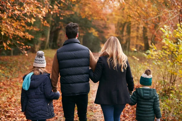 Bakre Över Familjen Walking Arm Arm Längs Höstens Skogsväg Tillsammans — Stockfoto