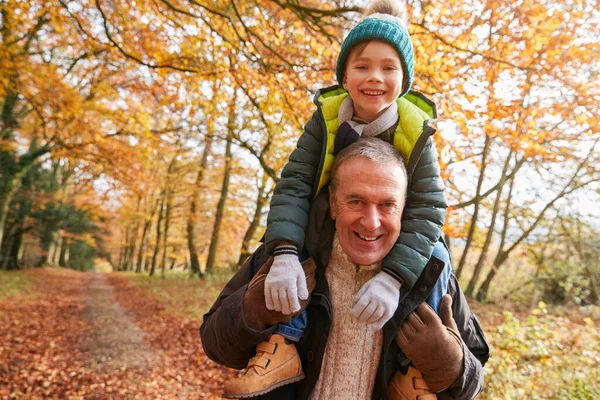 Portrait Grandfather Giving Grandson Ride Shoulders Walk Autumn Woodland Path — Stock Photo, Image