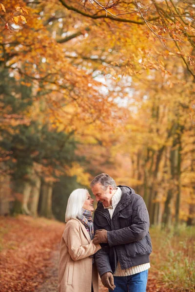 Liebendes Senioren Paar Hält Händchen Während Sie Gemeinsam Auf Dem — Stockfoto
