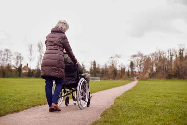 Kış Park Inda Veya Sonbaharda Tekerlekli Sandalyedeki Yaşlı Adamı Iten — Stok fotoğraf
