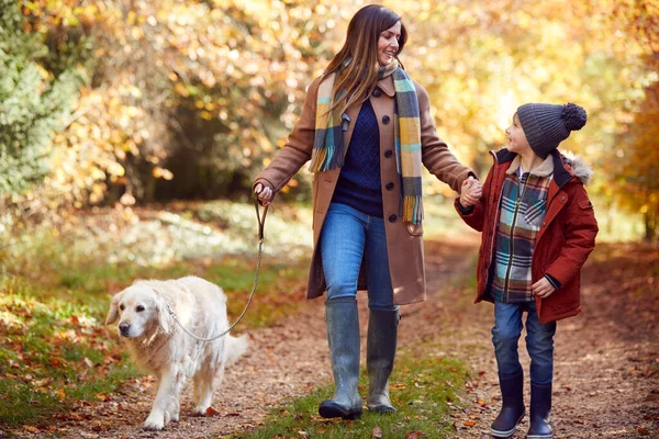 Μητέρα Και Γιος Λάβει Pet Golden Retriever Σκυλί Για Πόδια — Φωτογραφία Αρχείου