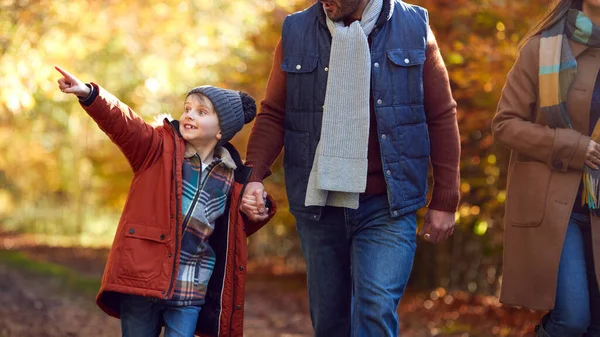 Excited Boy Ponting Family Autumn Walk Countryside Parents — Zdjęcie stockowe